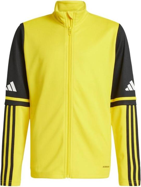 Actual product image Adidas Squadra 25 training jacket (M)
