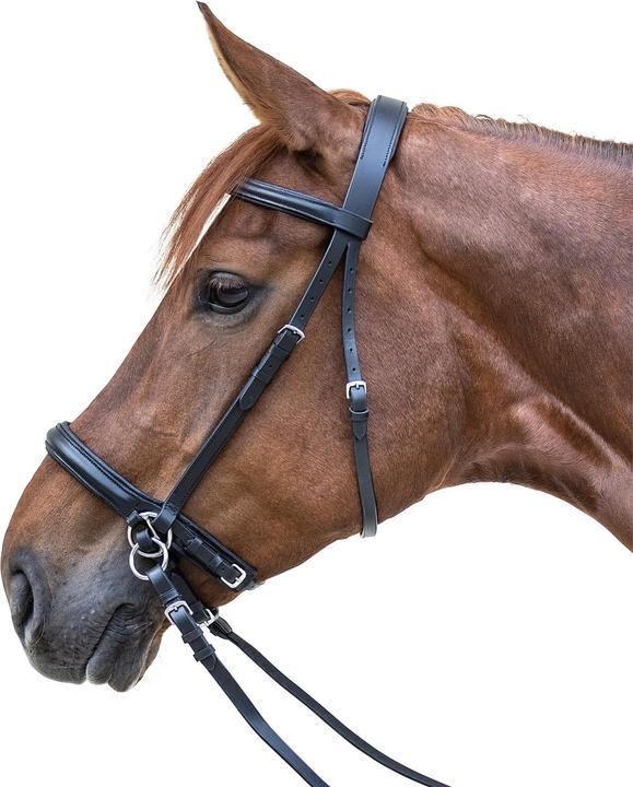 Waldhausen Bridle Bitless