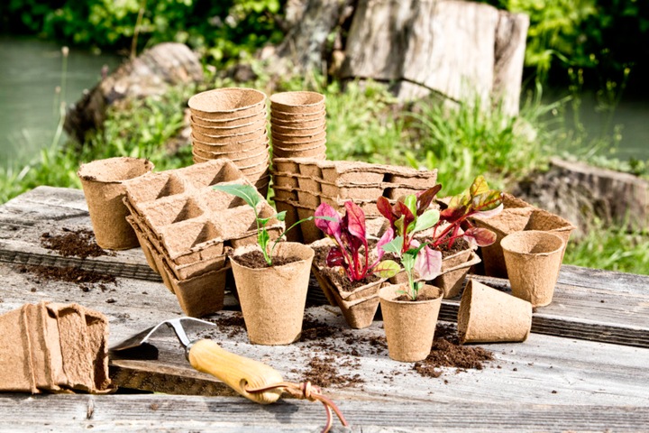 Actual product image Windhager Breeding pots