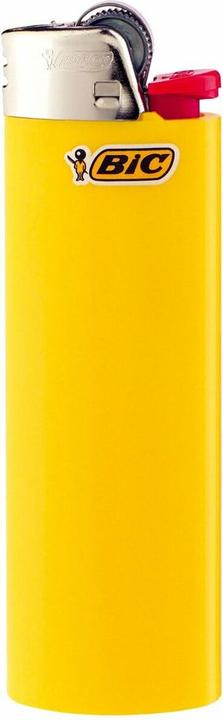 Actual product image Bic Lighter