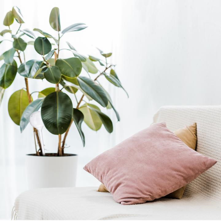 Actual product image Relaxdays Irrigation balls (Irrigation balls)