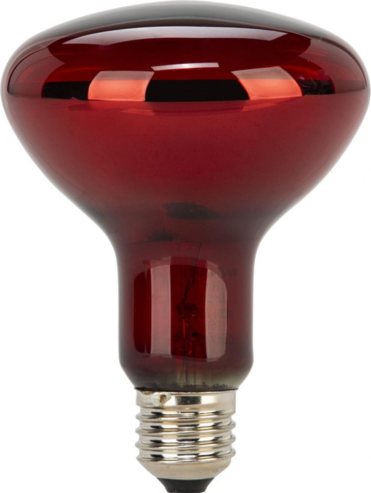 Immagine prodotto Beurer Lampada di ricambio IL 11 (100 W)