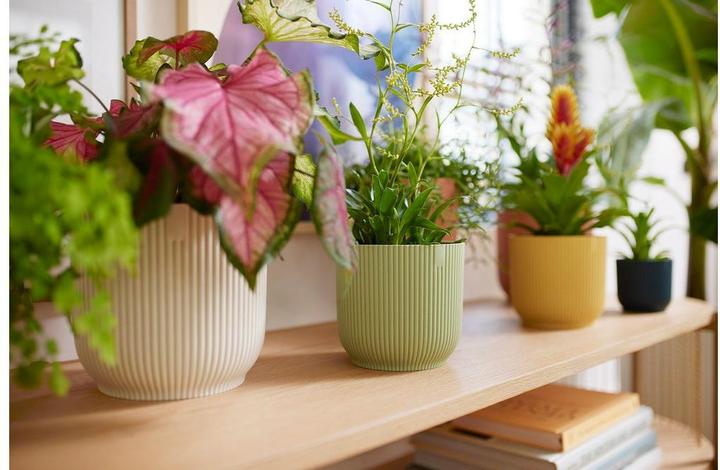 Produktbild Elho Vibes Fold (14.10 x 12.90 cm)