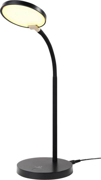 Immagine prodotto Renkforce RF-5734674 Lampada da tavolo 4,3 W Nero (580 lm)