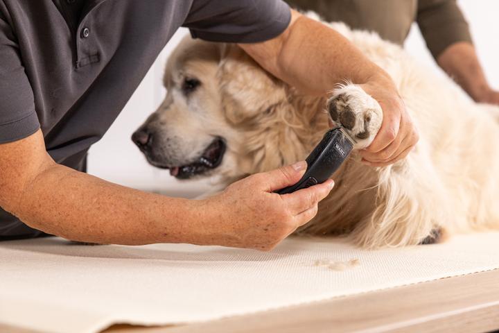 Produktbild Wahl Professionelle Tierhaarschneidemaschine (Hund)