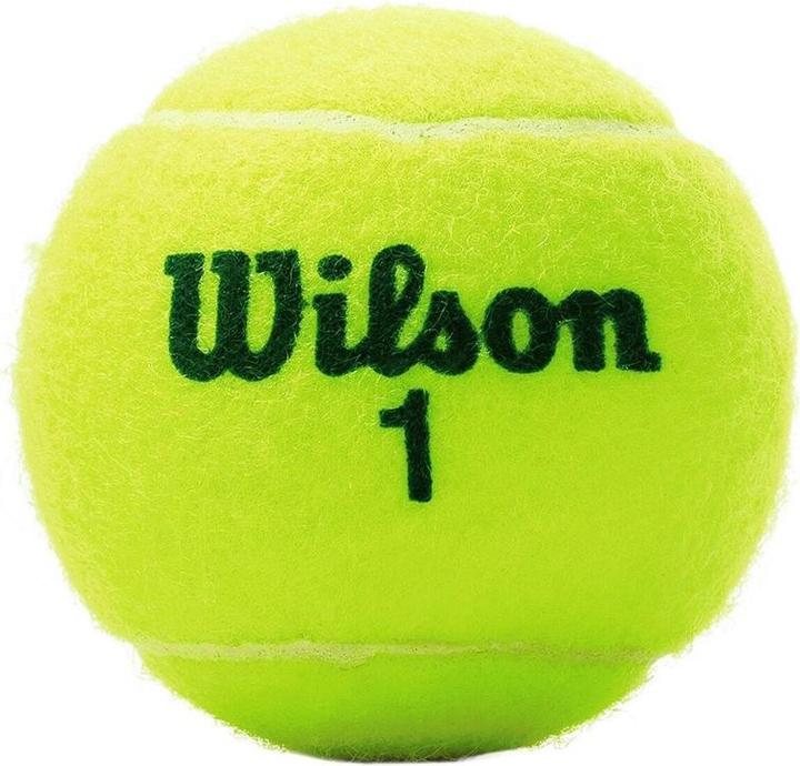 Immagine prodotto Wilson Starter Play