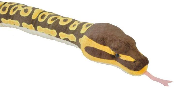 Actual product image Wild Republic Royal python