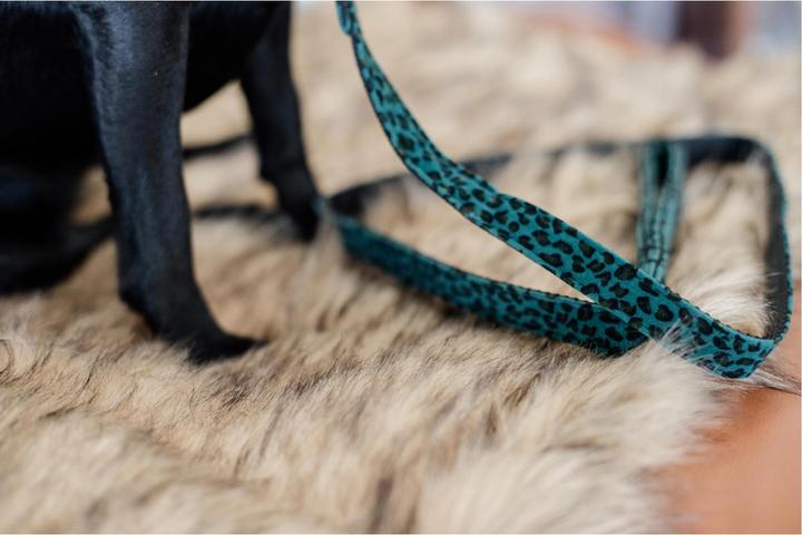 Produktbild Kentucky Dogwear Hundeleine Leopard