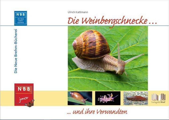 Produktbild Die Weinbergschnecke und ihre Verwandten (Deutsch, Ulrich Kattmann, 2017)