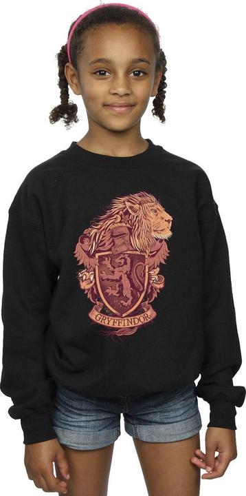 Produktbild Gryffindor Sketch Crest Sweatshirt Mädchen (104)
