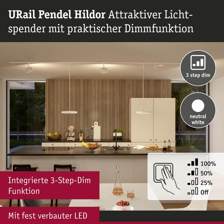 Immagine prodotto Paulmann Ciondolo URail Hildor (1400 lm)