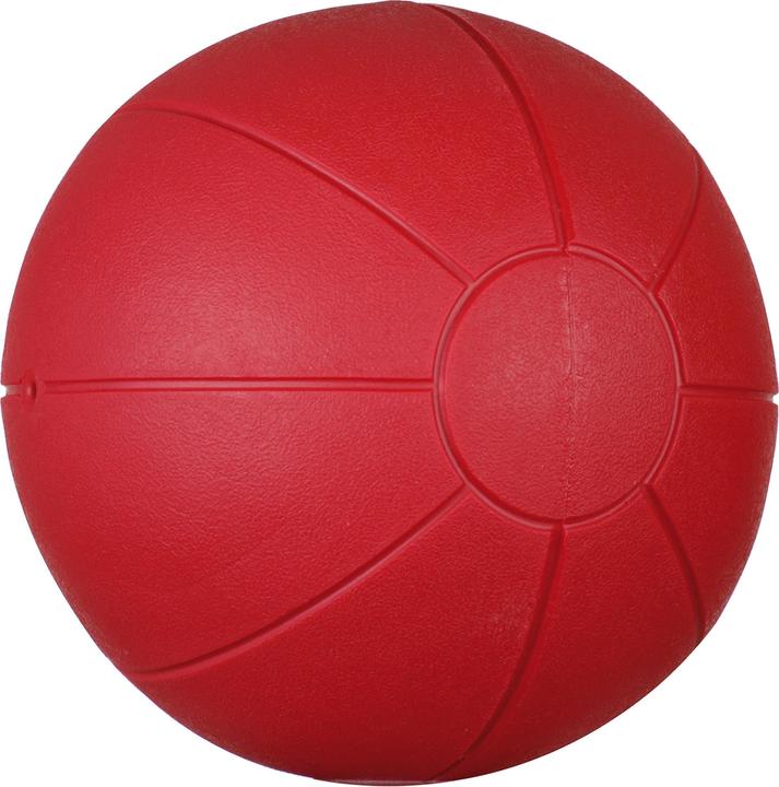 Actual product image Togu Classic medicine ball 1000 g (1 kg, 200 mm)