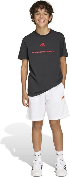 Image du produit Adidas French Terry Slogan (176)