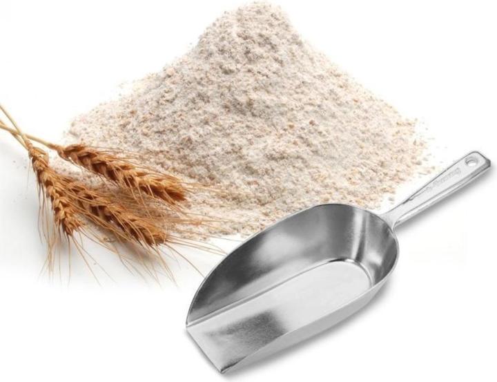 Actual product image Westmark Flour shovel Hygia