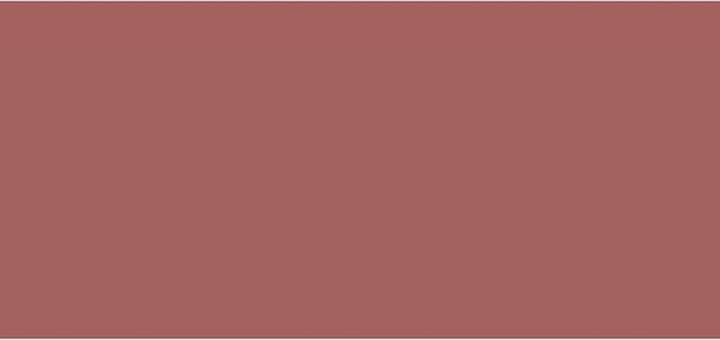 Actual product image Lancôme Lip Idole Butterglow 53 (53 The tea is)