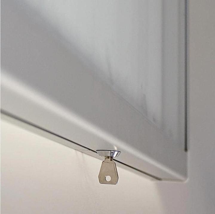 Actual product image Franken Display case 53x70.4x4.5cm outdoor magnetic/descriptive flue door (4 x A4)