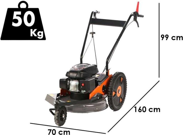 Actual product image Efco DEB 517 RATO RV 170 petrol lawn mower (Petrol)