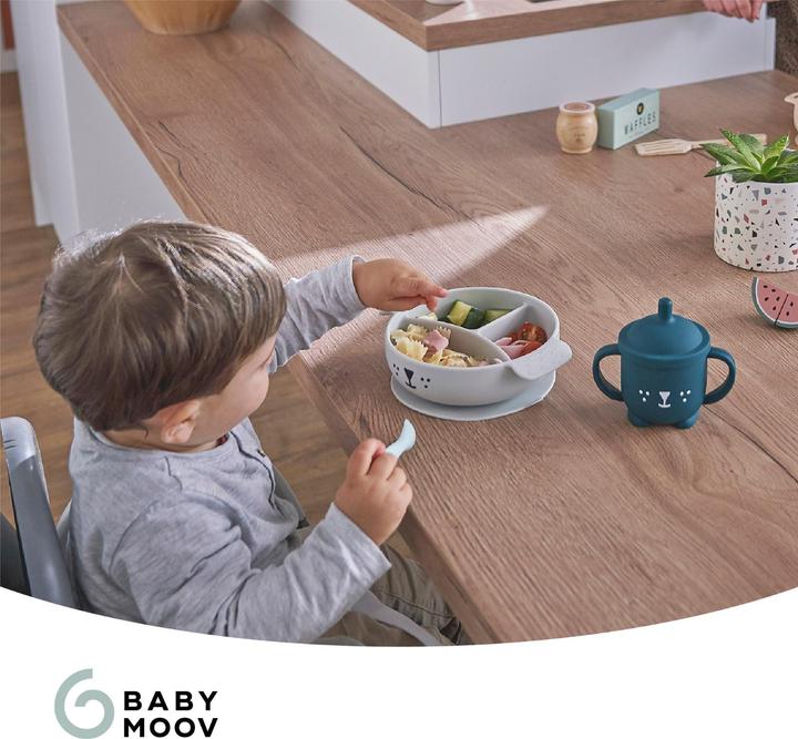 Actual product image Babymoov Learn'Isy