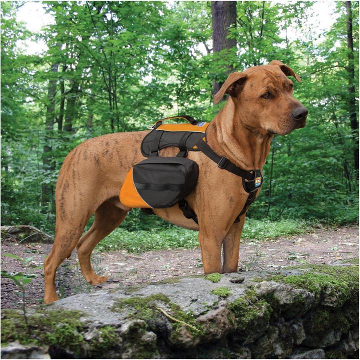 Produktbild Kurgo Baxter Backpack (Hunde 14-38 kg) (Hund, Atmungsaktiv, Waschbar)