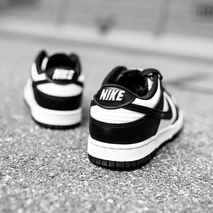 Image du produit Nike Dunk Low (47)