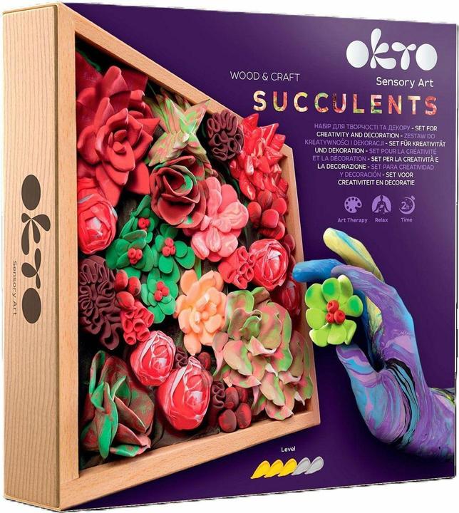 Okto Wood&Craft DIY succulents creative set 21x21cm Passion 10011