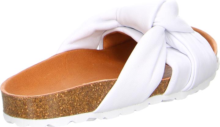 Actual product image Verbenas Rainbow Blanco (41)