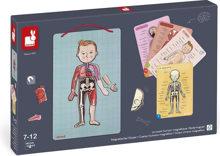Actual product image Janod Magnetic body (German, Spanish, French, Italian, English)