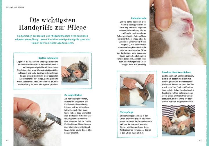 Produktbild Liebenswerte Zwergkaninchen (Deutsch, Monika Wegler, 2015)