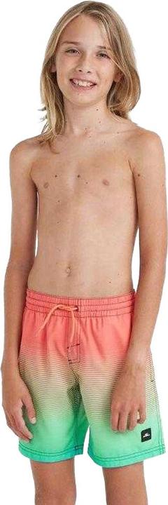 Produktbild O'Neill Jack Cali Gradient 14" Swim Shorts (152)