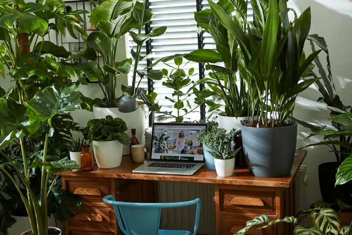 Produktbild Elho Blumentopf (14 x 12.60 cm)