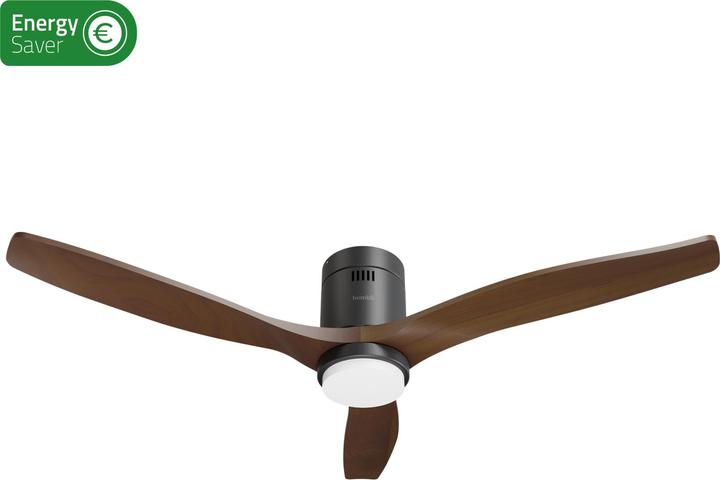 Image du produit Hombli Deckenventilator mit Licht (43 dB)
