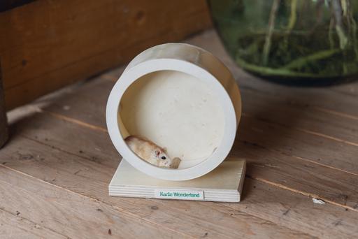 Actual product image Karlie bogie wheel