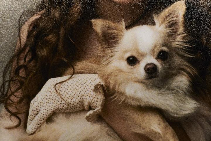 Actual product image Ilford 2001745.0 Gallery Prestige Smooth Peal 250 pcs. (310 g/m², A4, 250 pcs.)