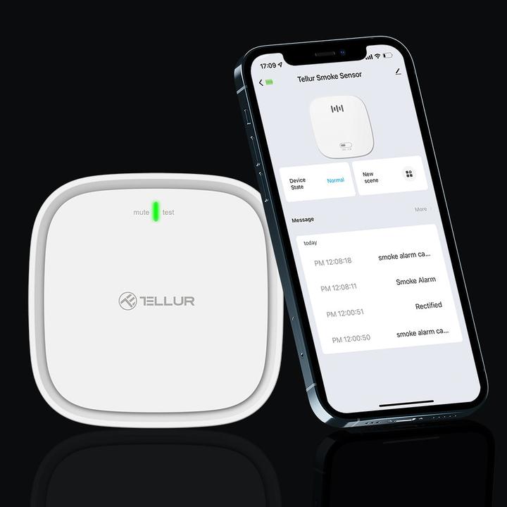 Actual product image Tellur Smart WiFi Gas Sensor DC12V 1A baltas