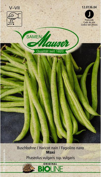 Produktbild Samen Mauser Bio Buschbohne Maxi (Gemüsesamen)