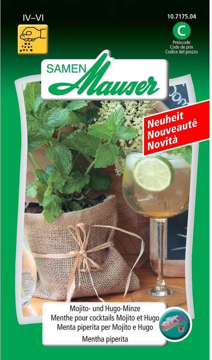 Samen Mauser Mojito e Hugo Mint (Semi di erbe)