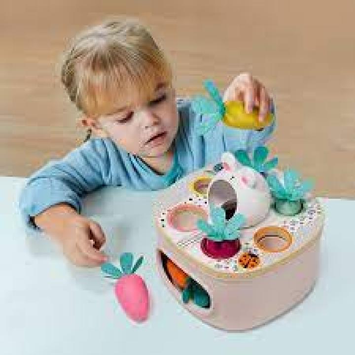 Produktbild Topbright Toys Sortierspiel Karotten