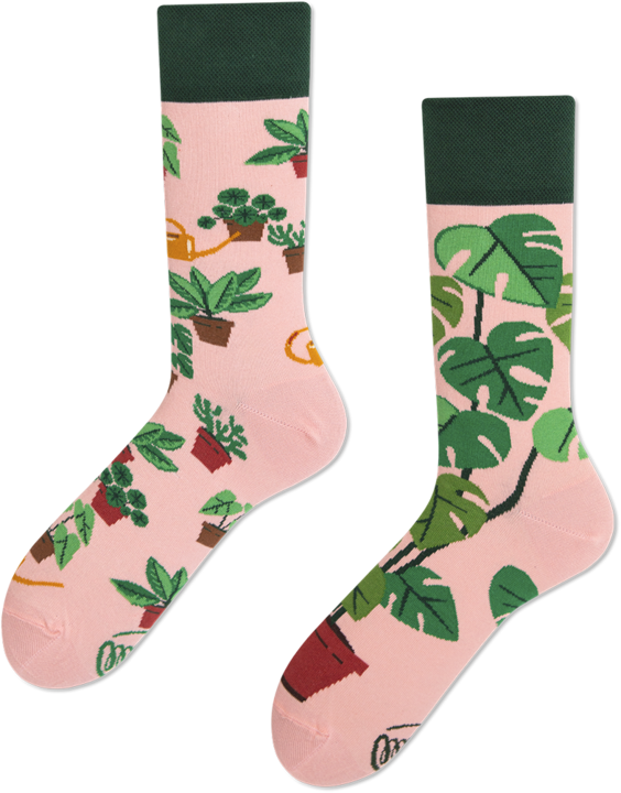 Actual product image Many Mornings Plant Lover (Single pack, 39 - 42)
