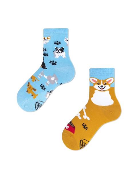 Immagine prodotto Many Mornings Cane giocherellone (Confezione singola, 23 - 26)