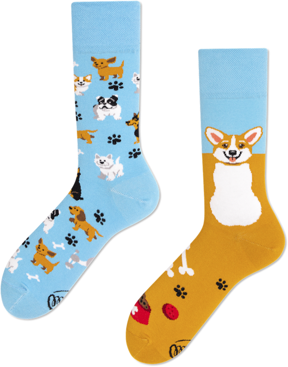 Produktbild Many Mornings Playful Dog (Einzelpack, 39 - 42)