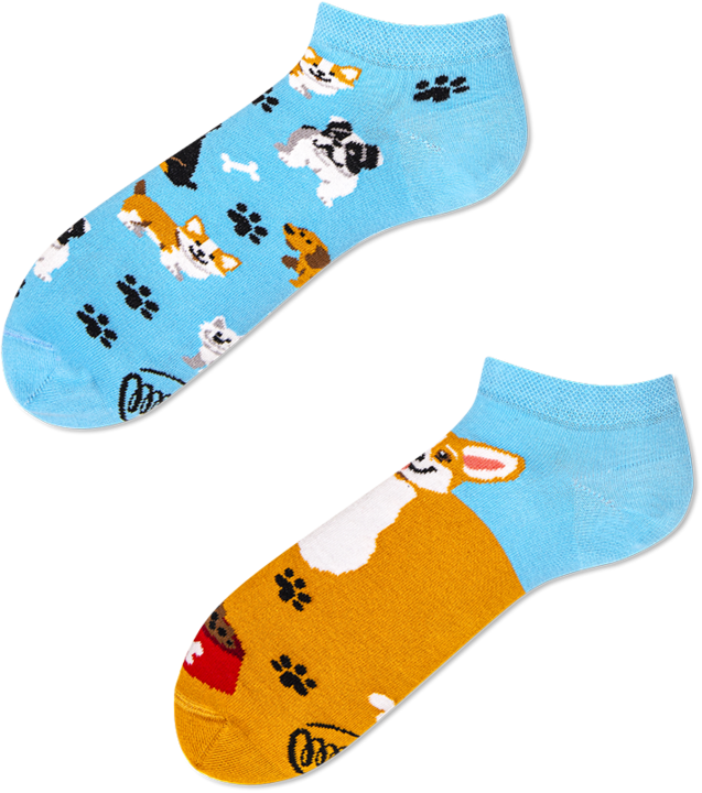 Image du produit Many Mornings Playful Dog (Chien joueur) (Une unité par pack, 43 - 46)