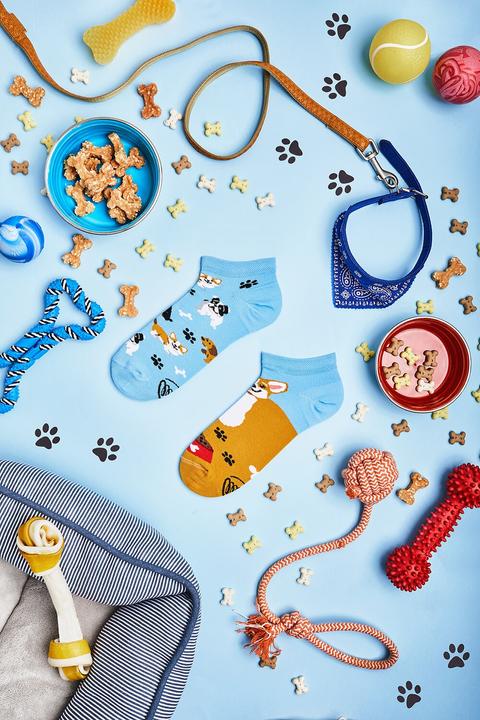 Immagine prodotto Many Mornings Cane giocherellone (Confezione singola, 43 - 46)
