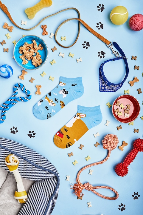 Image du produit Many Mornings Playful Dog (Chien joueur) (Une unité par pack, 43 - 46)