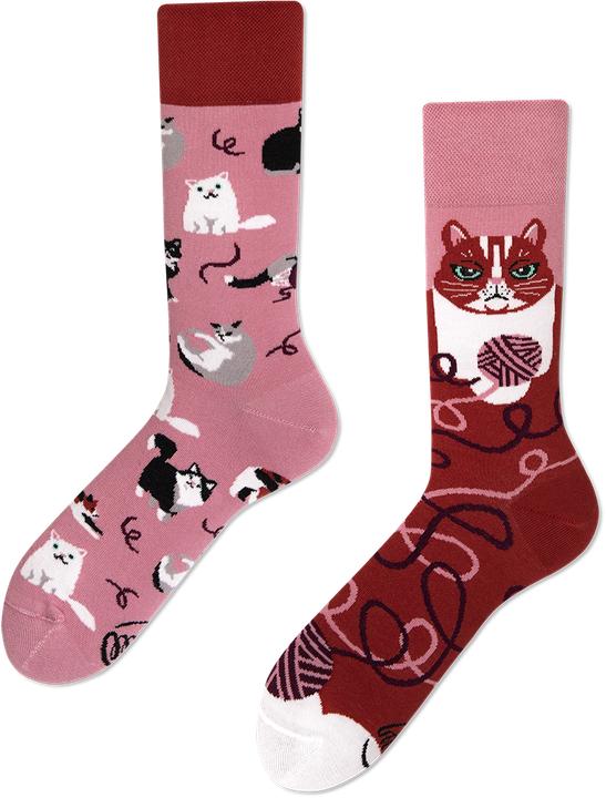 Actual product image Many Mornings Playful Cat (Single pack, 43 - 46)