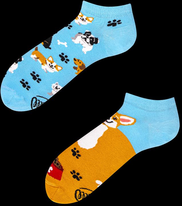 Image du produit Many Mornings Playful Dog (Chien joueur) (Une unité par pack, 39 - 42)