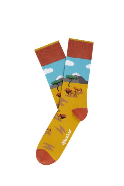 Immagine prodotto Moustard Wild Box (Confezione singola, 41 - 46)