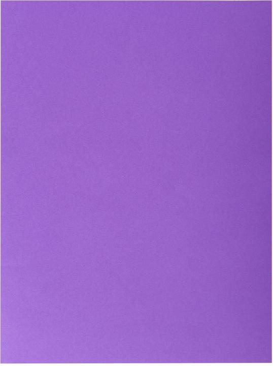 Produktbild Exacompta Aktenmappe (A4, 1x)