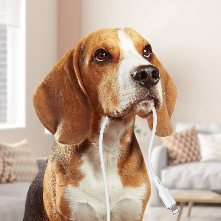 Immagine prodotto Acefast C2-02 (1.20 m, USB 2.0)