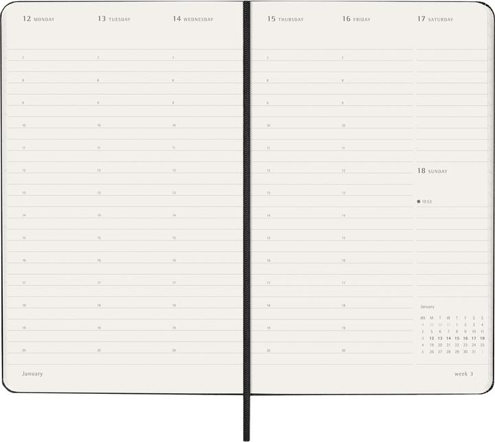 Actual product image Moleskine Geschäftsagenda Professional Hard Cover Weekly Vertical Pro (13 x 21 cm, English)