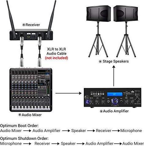 Actual product image Tonor Radio microphone